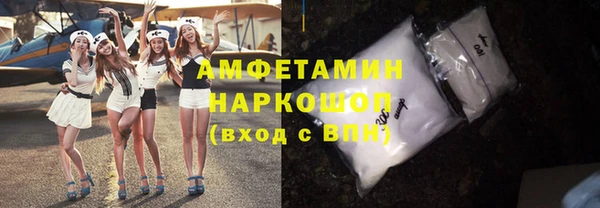хмурый Алексин