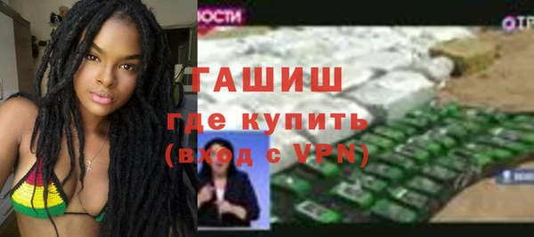 хмурый Алексин