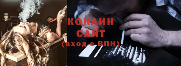 хмурый Алексин