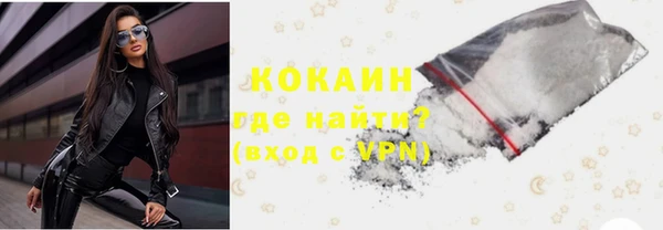хмурый Алексин