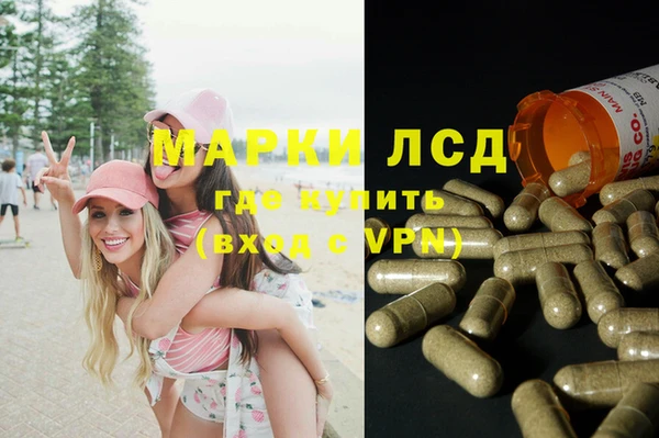 спиды Алзамай