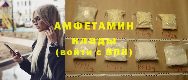 хмурый Алексин