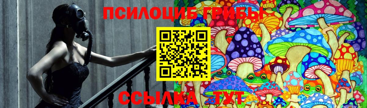 Псилоцибиновые грибы MAGIC MUSHROOMS  закладки  Асино  Вход с VPN  Псилоцибиновые грибы Magic Shrooms 